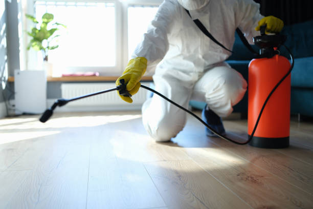 Reliable Hoarding Cleanup contractor in Joint Base Mdl, NJ by Trauma Clean Pros